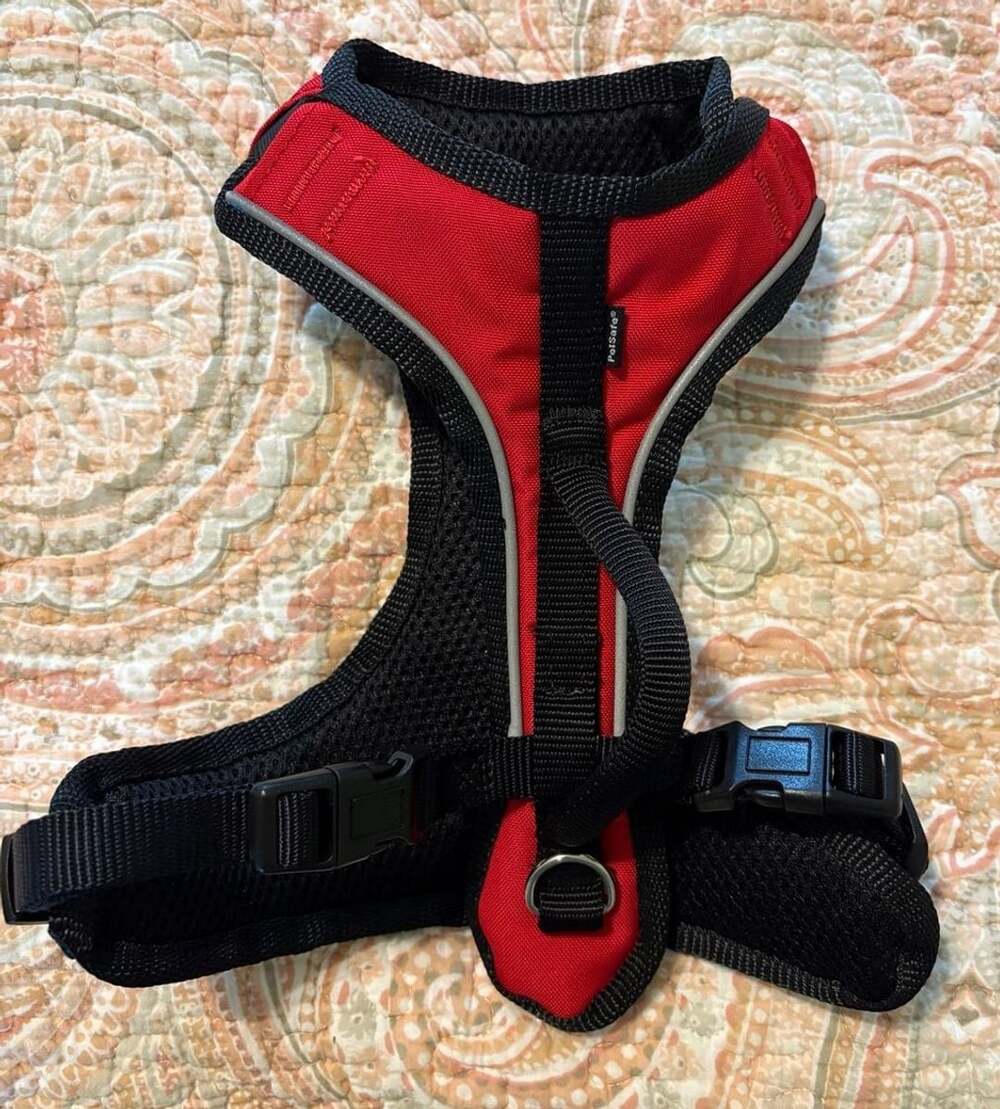 NWOT PetSafe EasySport Nylon Reflective Back Clip Dog Harness, Red, XS